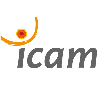 Groupe ICAM
