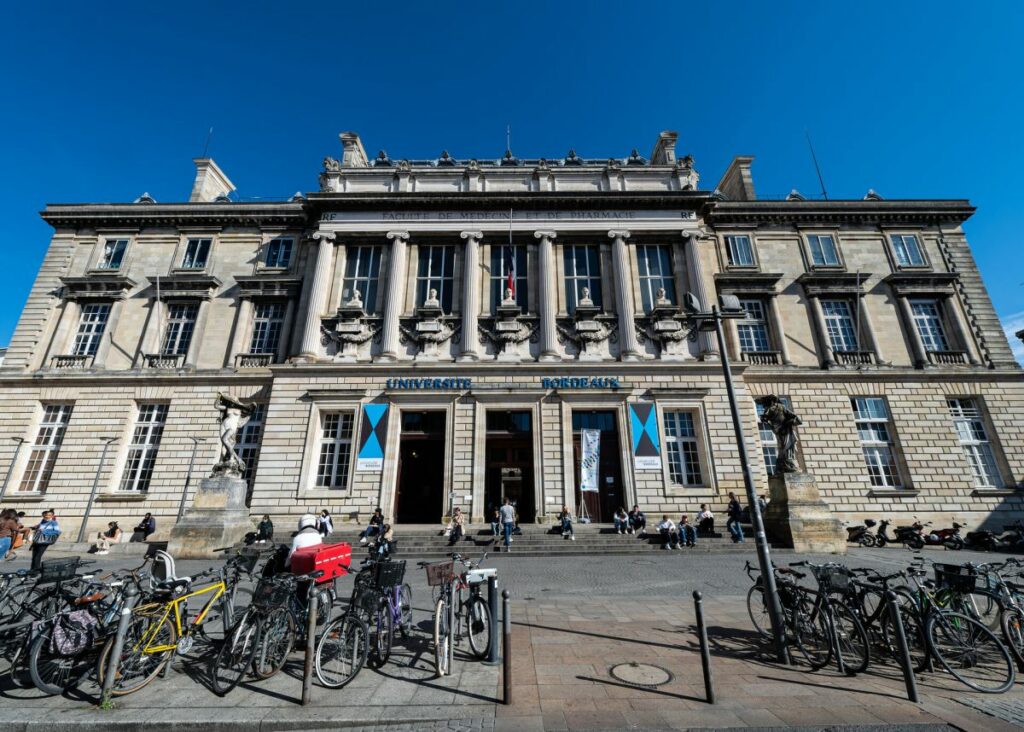 Conseiller l’université pour sa nouvelle stratégie réseaux sociaux